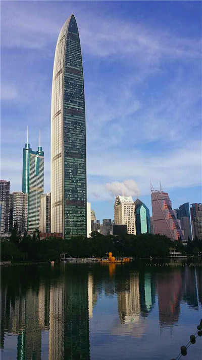 广州新茶的价格区间